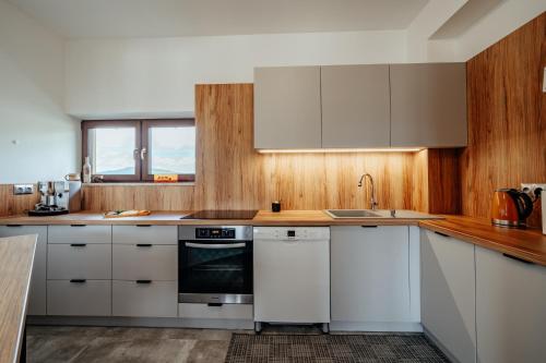 Kuchyň nebo kuchyňský kout v ubytování Apartament pod Glinikiem