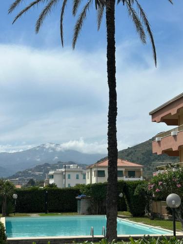 a palm tree and a swimming pool with a palm tree at Maison du Citron in Vallecrosia