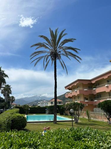 a palm tree and a swimming pool in front of a building at Maison du Citron in Vallecrosia