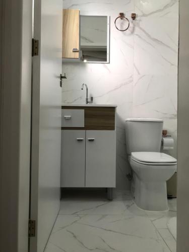 a bathroom with a toilet and a sink and a mirror at ESTUDIO PANORAMiCO in Florianópolis