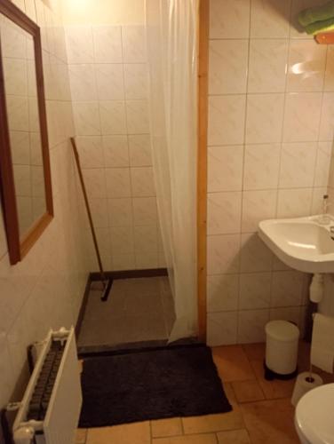 a small bathroom with a shower and a sink at Boerderij De Diek'n in Zeerijp