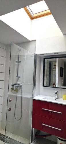 a bathroom with a shower and a sink at LE TRANSAT 40m de la plage in Palavas-les-Flots