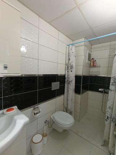 a bathroom with a toilet and a sink at Zeytin apart, Daire 10 in Eskiömerler
