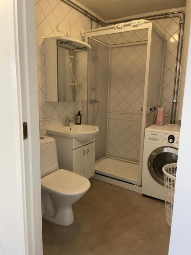 a bathroom with a toilet and a sink and a washing machine at Mysiga lägenheten Borlänge City in Borlänge