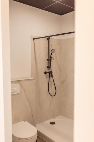a bathroom with a shower and a toilet at Maison Gabrielle in Vals-les-Bains
