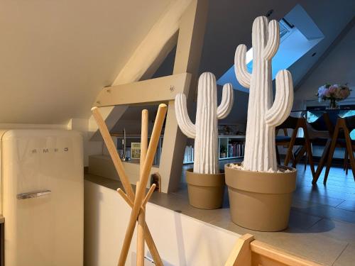 two cactuses sitting on a counter in a kitchen at Chez Gaston - Entrelacs in Pouilly