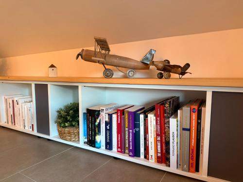 a book shelf with a toy airplane and books at Chez Gaston - Entrelacs in Pouilly