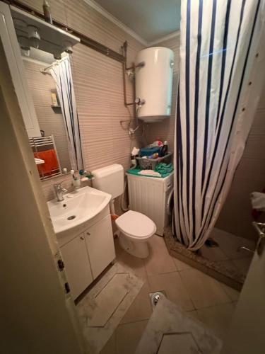 ein Badezimmer mit Toilette und Waschbecken in der Unterkunft Secret garden in Visoko