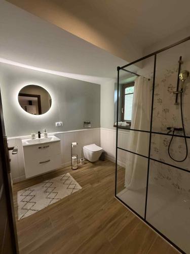 a bathroom with a shower and a toilet and a sink at Apartament Górski Krokus in Ratułów
