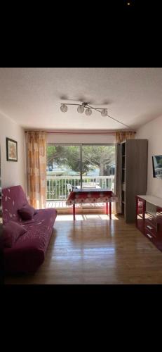 Studio Port Camargue 100m de la plage Sud