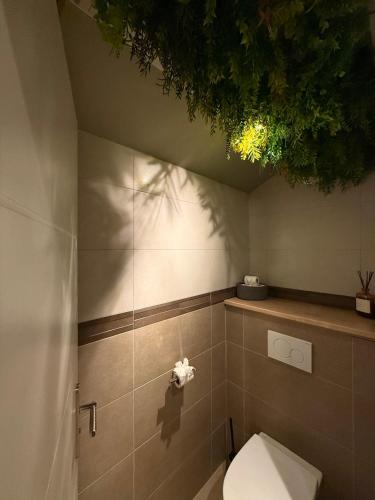 a bathroom with a toilet with a plant on the ceiling at Chez Gaston - Entrelacs in Pouilly