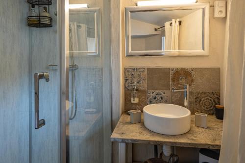 a bathroom with a sink and a mirror and a shower at La Chapelle sur la Sorgue in LʼIsle-sur-la-Sorgue