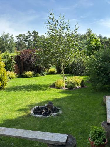 a garden with a fire pit in the grass at U Iwony in Sztutowo