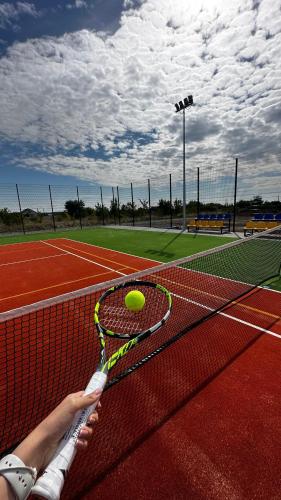 a person holding a tennis ball on a tennis court at Готель VinoGrad 2й корпус in Haysyn