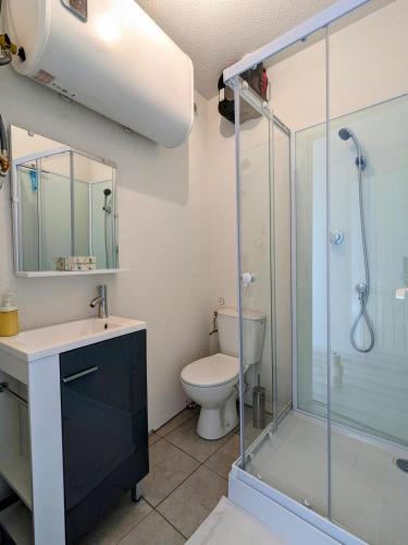 une salle de bain avec douche et toilettes dans l'établissement Studio centre ville proche gare, à Roanne