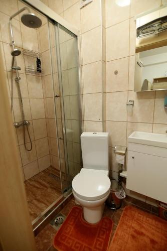 a bathroom with a shower and a white toilet at ILIEVSKI apartment 8 in Kumanovo