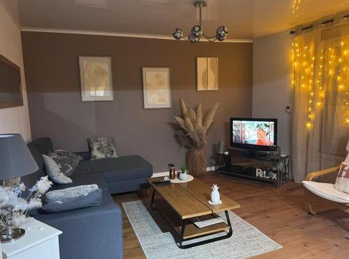 a living room with a blue couch and a tv at Maison de ville in Cognac