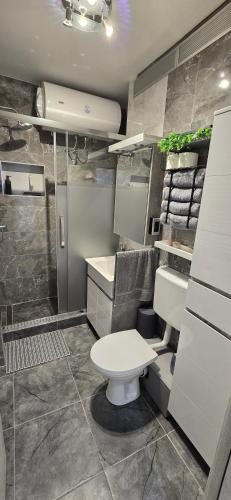 a bathroom with a toilet and a sink at Lux Apartman Stojanović in Belgrade