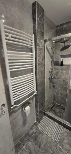 a bathroom with a shower and a toilet paper dispenser at Lux Apartman Stojanović in Belgrade