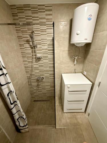 Koupelna v ubytování Tina Apartman Sokobanja