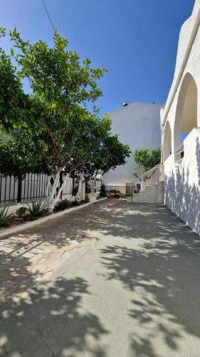 Leo's House