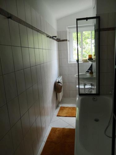 a bathroom with a shower and a sink at Wohnung Chemnitz-Zentrum in Chemnitz