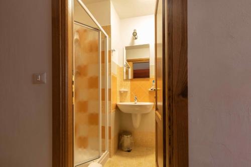 a bathroom with a shower and a sink and a toilet at B&b Gennargentu in Fonni