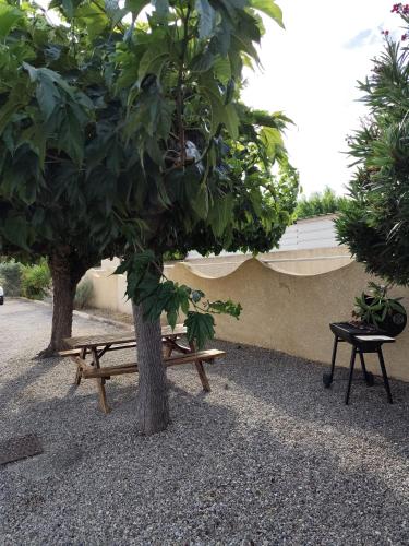 two trees and a picnic table next to a building at La Lavande in Sorgues