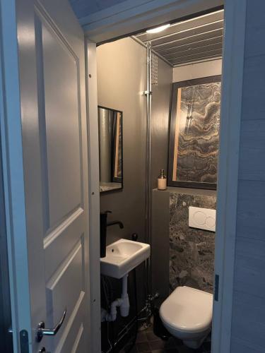 a bathroom with a toilet and a sink at The Red Residence, Savonlinna Centre in Savonlinna