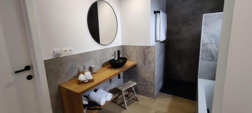 a bathroom with a sink and a mirror at het Boekenhof in Niel