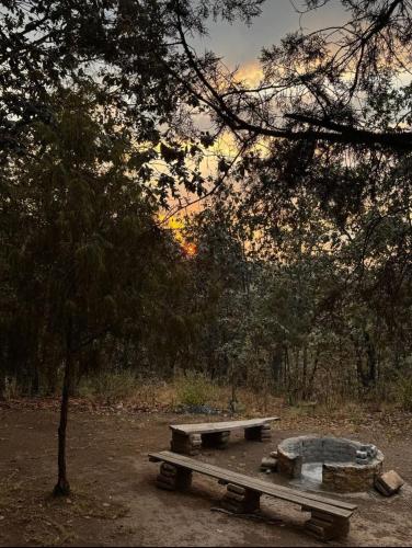 a picnic table in a park under a tree at Cabaña en El Zembo, Huasca de Ocampo in Huasca de Ocampo