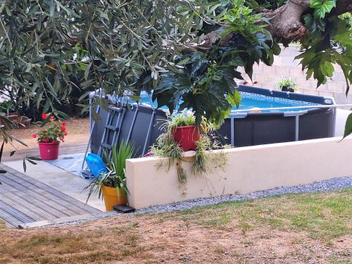 a bunch of plants in pots next to a pool at Maison de charme à Autignac avec vue sur jardin et montagne in Autignac