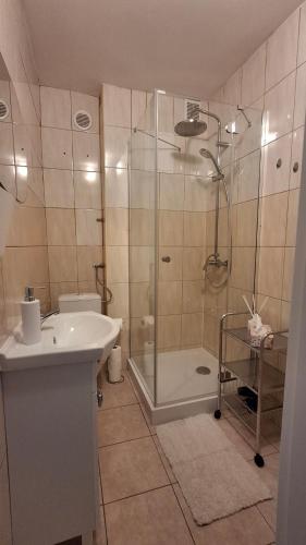 a bathroom with a shower and a sink and a toilet at Apartament u Krzyżaka in Malbork