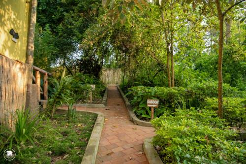 Gallery image of Kibale Tourist Safari Lodge in Bigodi