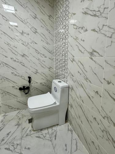 un bagno con un water e un'anatra sul muro di Triumf palase a Baku