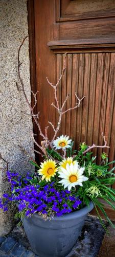a pot of flowers in front of a wooden door at Altstadtdomizil Morgenröte in Görlitz