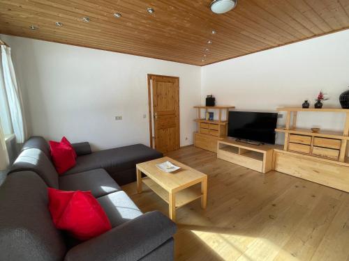 a living room with a couch and a television at Kleinbergsonne in Filzmoos