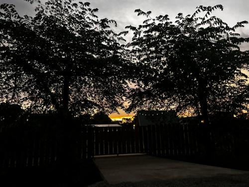 two trees in front of a fence at sunset at Eco Glamping Verde, Bahia Gigante in Puntarenas