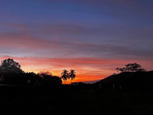 a sunset with a palm tree in the foreground at Eco Glamping Verde, Bahia Gigante in Puntarenas
