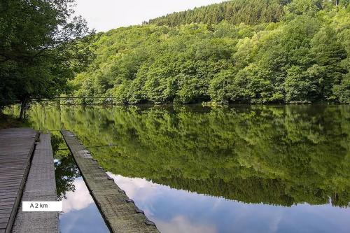 a river with a reflection of trees in the water at Gîte Chez Cyrille in Houffalize