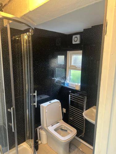 a bathroom with a toilet and a glass shower at Deluxe Large Double Room Near Basildon Town Centre in Basildon