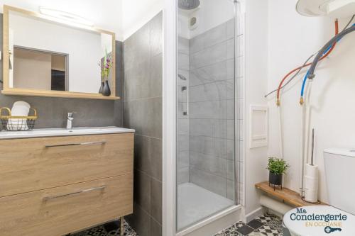une salle de bain avec douche et lavabo dans l'établissement Heliot - Hypercentre - Proche du métro, à Toulouse