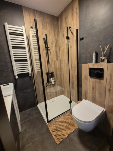 a bathroom with a shower and a toilet at Apartament w Willii Szmaragd in Borne Sulinowo