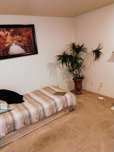 a bedroom with a bed and a plant on the wall at Cedar River One Bedroom In A 4 Bedroom House in Renton