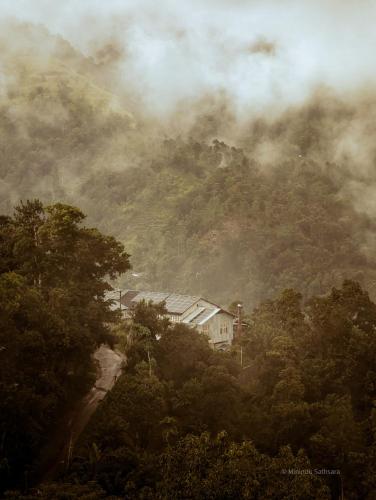 a house on the side of a mountain with trees at The Aurelia in Gampola