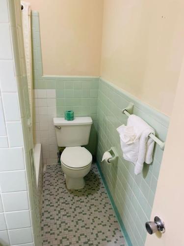 a bathroom with a white toilet in a shower at Regent Motel in Albany