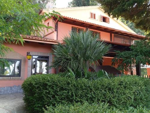 ein Haus mit einer Palme davor in der Unterkunft Casa Vacanza la Sorgente da Manu in Palombella