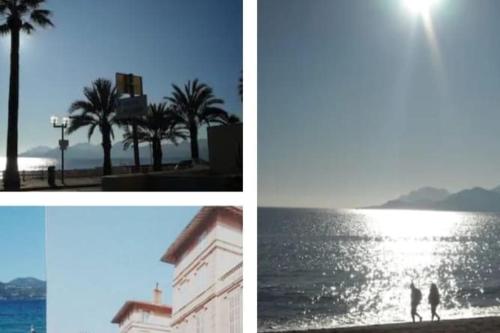 Beach House Cannes - pte croisette - 3 Ch - 3 Sdd - 2 wc - Fibre - Pkgs