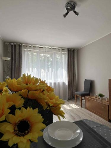 Apartament Słoneczna Mazurska