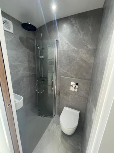 un bagno con doccia e WC di Petit studio au fond du jardin a Saint-André-de-Sangonis